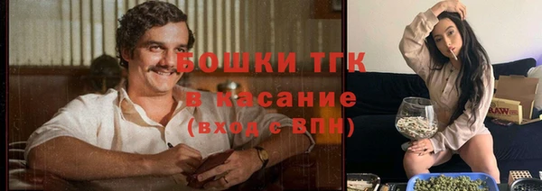 скорость Бородино