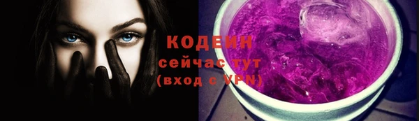 скорость Бородино
