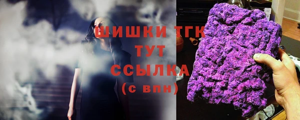 скорость Бородино