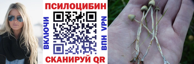 Галлюциногенные грибы мухоморы  закладки  omg ТОР  Вельск 